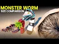 Lagu Monster Worm \u0026 Sandworm Size Comparison | GOD WORM VS DUNE