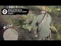 Oleander Location Guide - Red Dead Redemption 2