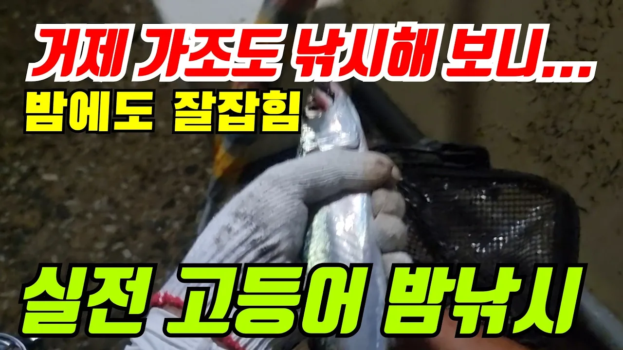 관련 영상 썸네일