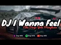 Lagu DJ I WANNA FEEL LIKE DIRGA YETE MENGKANE