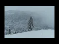 Andre P & Droomie - Omar (San Miguel Remix)
