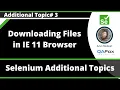Selenium Java - Downloading Files in IE 11 Browser