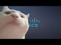 Vibe Cat Vibing to Cisco On-Hold Music Opus Number 1