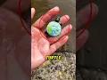 Download Lagu Someone Painted the Baby Turtle😳