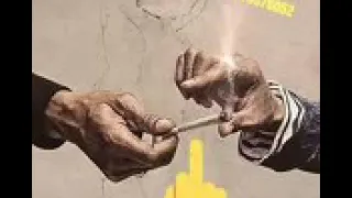 مول لازم تشرب معايا دندنها