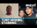 Judge berates pair who stabbed drug lord Tony Mokbel ABC News