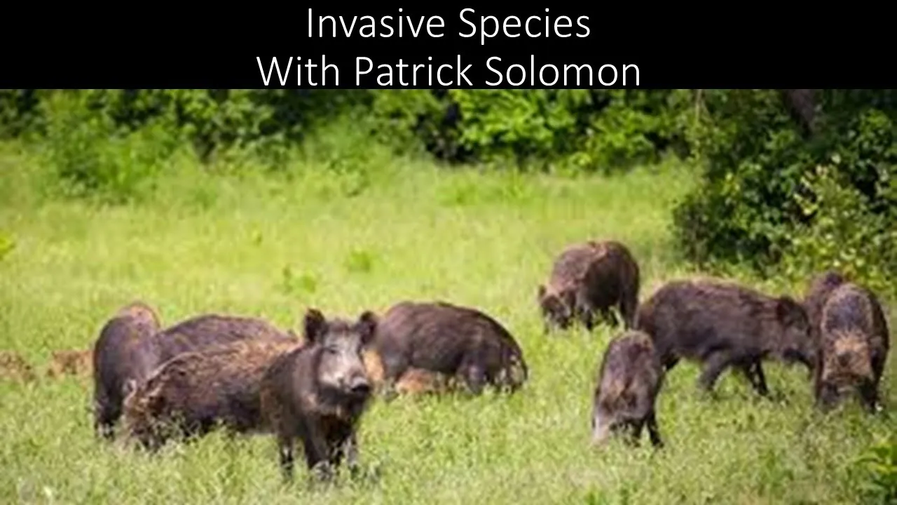 Invasive Species with Patrick Solomon, Arkansas Natural Heritage Commissions