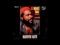 Marvin Gaye ~ I Want You 1976 Soul Purrfection Version