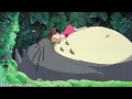 Dreaming - Lee
