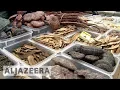 Download Lagu 🇨🇳 Chinese traditional medicine gains popularity at home and abroad