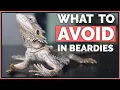 How NOT to Care for Bearded Dragons - Mistakes to Avoid