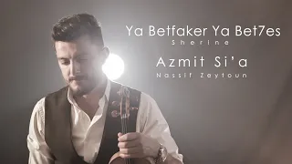                                                                                              دندنها