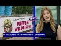 PA Rep looks to create Smokey Bear license plate with new bill WTAJ