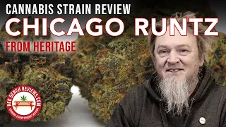 Chicago Runtz Strain Review - Heritage Brand