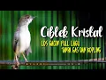 Download Lagu CIBLEK KRISTAL SUPER GACOR FULL  NEMBAK NGEBREN