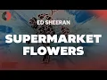 Download Lagu Ed Sheeran - Supermarket Flowers | Top Songs | Lyrics