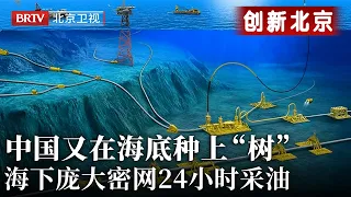 中国又在海底种上“树”？！千米钻头打入深海，50根细管织成海下庞大密网，24小时油气采输源源不断【创新北京】