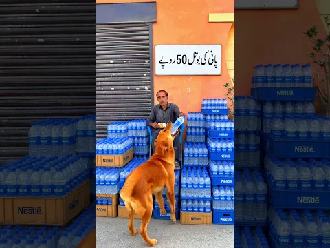 A sent this help for Allah save him#viralvideo#islamic#emotional