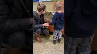 This Is Casper s Adoption Moment