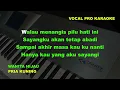 SATU HATI SAMPAI MATI KARAOKE DUET | Thomas Arya Feat Elsa Pitaloka
