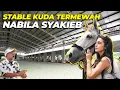 Lagu MELONGO..! STABLE KUDA NABILA SYAKIEB BIKIN IRII..!!