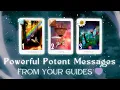 Urgent Messages from Your Guides Pick a Card In-Depth Timeless Tarot Reading