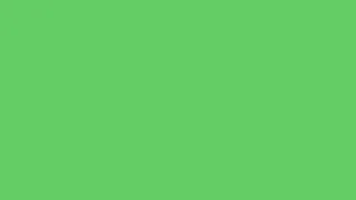 A Color a Day Retro Kiwi - rgb 102 204 102