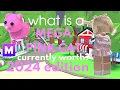 What is a MEGA pink cat worth in 2024 adopt me trading