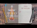 Basic Human Anatomy BHA Introduction to Chapter 4 - The Muscles