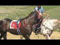 EL MARTILLO - GRUPO LABERINTO