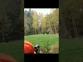 Lagu Hunting big moose at close range  #hunting #chasse #moose #deer