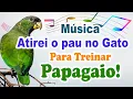 Download Lagu música atirei o pau no gato para ensinar papagaio - canto atirei o pau no gato para treinar papagaio