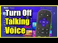 How to Turn Off Screen Reader Talking Voice on Roku Device Easy Method