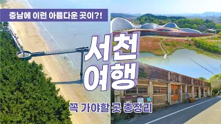 🚙 [충남 서천] 필수여행지! 안 가면 손해인 여행지 Best 7 신성리갈대밭ㅣ국립생태원ㅣ씨큐리움ㅣ장항 스카이워크ㅣ판교시간이멈춘마을ㅣ춘장대해수욕장ㅣ홍원항 썸네일