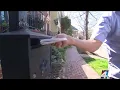 Florida Georgia leaders call on Jacksonville USPS center to improve delivery times transparency