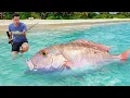 Download Lagu I Caught A Giant Sea Monsters to Feed My Pets...
