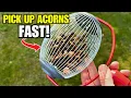 I Tested 4 Ways to Pick Up Acorns Only ONE Actually Worked