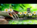 Heal Your Mind and Body with Tibetan Meditation Music (No Ads)