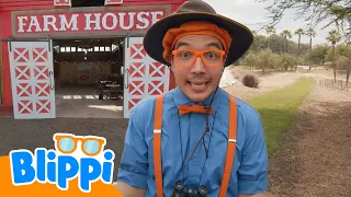 Blippi's Top 10 ANIMALS! 🐟+ MORE Animal Episodes | Educational Videos for Kids