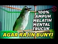 Download Lagu Trucukan mana YANG GAK NYAUT dan IKUT TARUNG dengan trucukan garuda Joss ini, PASTI NYAUTTTT . . .