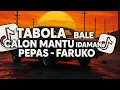 Download Lagu DJ TABOLA BALE X CALON MANTU IDAMAN X PEPAS - FARUKO FULL SONG DJ Vel Bass