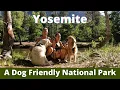 Yosemite A Dog Friendly National Park