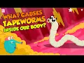 Download Lagu What Causes Tapeworms Inside Our Body? | Tapeworm Infection | The Dr Binocs Show | Peekaboo Kidz