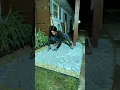 DIY walkway that anyone can do