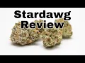 Stardawg Weed Strain Review