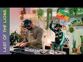 Download Lagu From Roots Reggae to Dancehall Ragga: A Musical Odyssey with Last Of The Lions