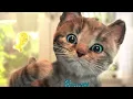 Cute Kitten Little Cat Adventure - Play Fun Pet Care