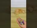Download Lagu Funny Cat Barsik Beads ❤️💜Reverse video / Cat videos | Cat sound #cat #funny #youtubeshorts