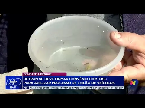 Parceria no combate à dengue: Detran SC e TJSC agilizam leilão de veículos