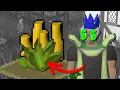The only Herb Run Guide you need - up to 3